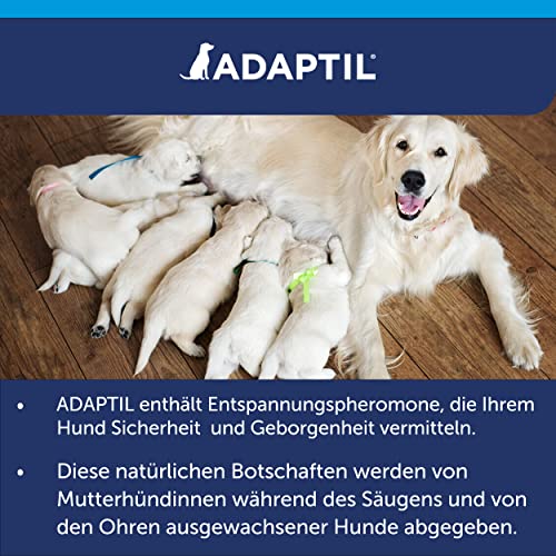 ADAPTIL Calm Halsband für kleine Hunde