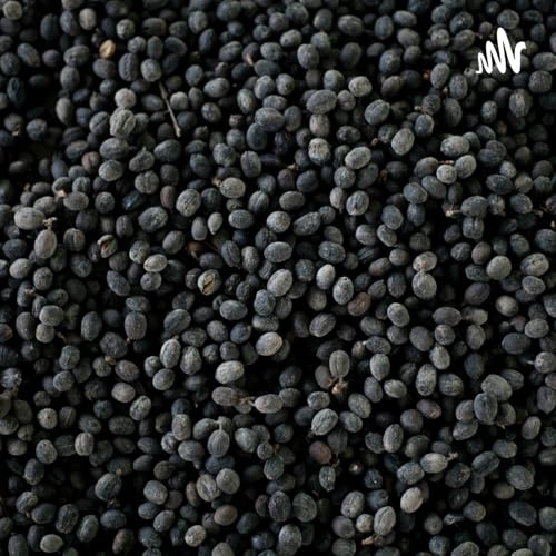 他却已将你忘记 cover art