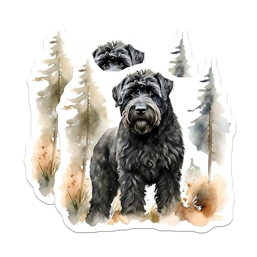 (2 Pack) Bouvier Des Flandres Stickers - Dog Breed Sticker - Cute Dog Stickers - 5" On Longest Side - Sticks to Smooth Flat Surfaces - Made in USA - BMCS14031
