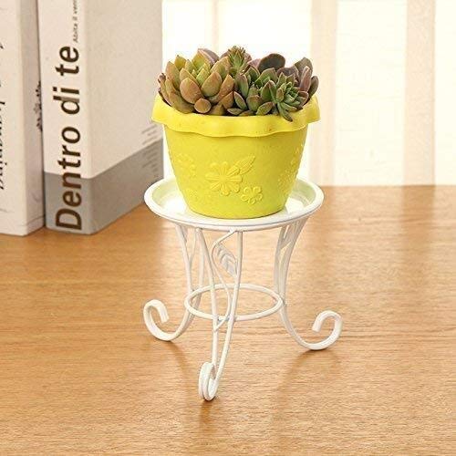 Vase pour plante de bureau et balcon : le support en fer idéal pour vos succulentes