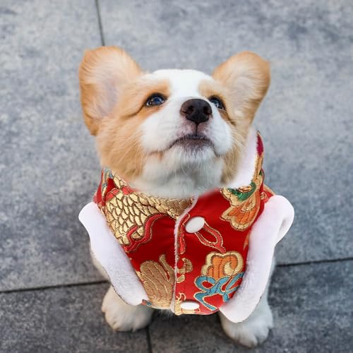 Disfraz para perro dragón Levemolo talla L miniatura 3