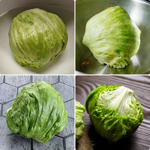 Semillas de lechuga iceberg, Lactuca sativa, variedades antiguas de jardín orgánicas raras semillas de jardin comprar 300pcs