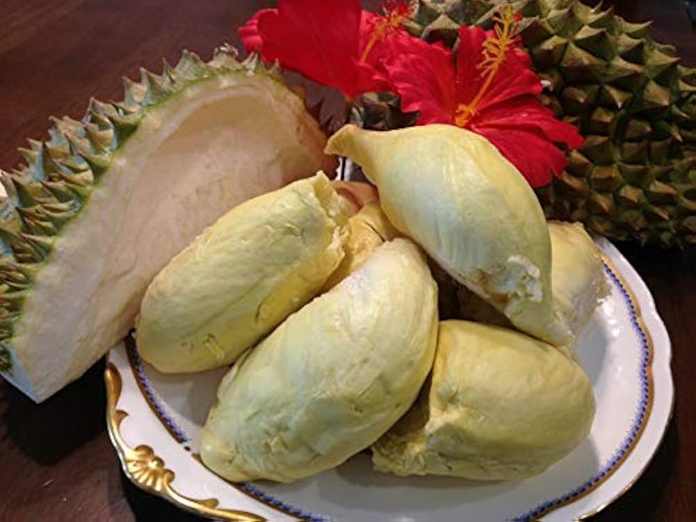 金の枕（モントン 10パック（500g*10 お得