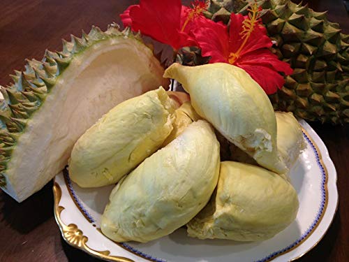 Amazon.co.jp: タイ産 ドリアン 濃厚 冷凍 (400g) 種あり モントーン