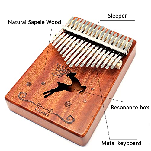 Kalimba 17 touches pour pouce avec étui de protection pour apprendre rapidement, Livre de musiques, Instruments de… - Les Beatles, Paul McCartney, John Lennon, RIngo Starr, George Harrison Kalimba 17 touches pour pouce avec étui de protection pour apprendre rapidement, Livre de musiques, Instruments de… – Image 4