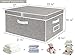 StorageWorks Extra Large Clothes Storage Bins, 55L Fabric Storage Baskets with Double-Open Lid and Divider Board, Storage Bins for Clothes, Closet Storage Organizers with Handles, Gray, 1-Pack