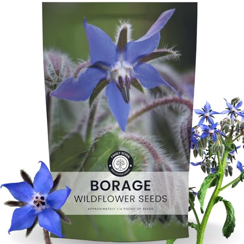 Borage – 4,000 Seeds for Planting – 2026 Season –