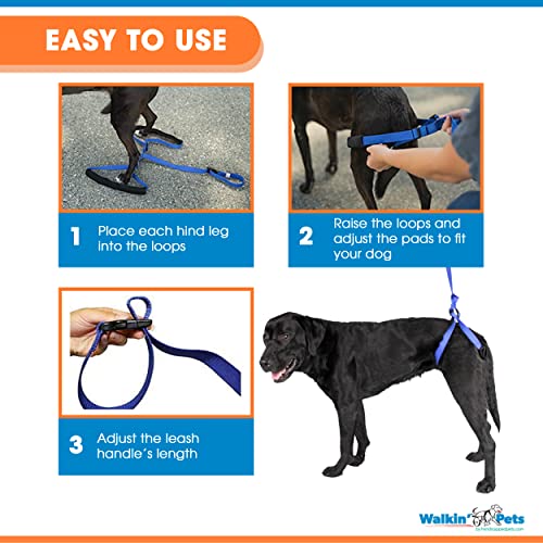 Up-N-Go Mini Rear Support Lifting Harness For Dogs | Helps Dogs With Arthritis, Weakness, Joint Injuries Rehab | Adjustable Straps #TOP5