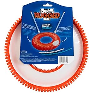 Chuckit Rugged Flyer Dog Toy Medium Assorted Colors  Cucciolini Doodles Chuckit Rugged flyer dog toy medium assorted colors   cucciolini doodles