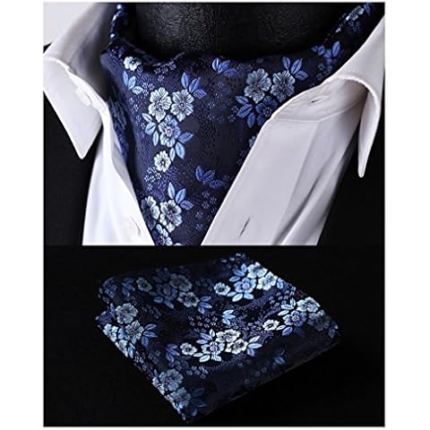 HISDERN Cravate Ascot et Pochette Cover