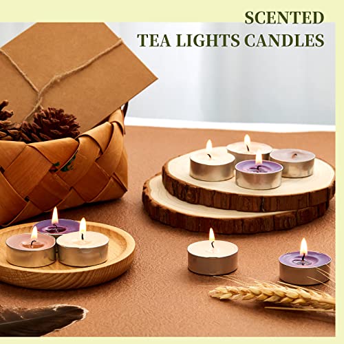 Amyhill Set Of 240 Scented Tea Lights Candles 5 Scents Mini Candles Bulk Multicolor Tealight Candles Small Scented Candles, Vanilla, Jasmine, Lavender, Rose, Cinnamon, For Home Wedding Holiday Party #TOP4