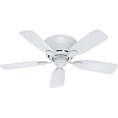 Hunter Fan Company 51059 Hunter Indoor Low Profile IV Ceiling Fan with Pull Chain Control, 42", White Finish (Single Pack)