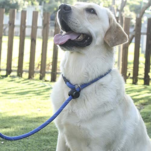 Hiado Slip Lead Dog Leash Reflective With Stopper Loop Rope Training No Pull For Small Medium Large Dogs 6Ft Blue #TOP3