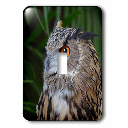 Interrupteur hibou pour remplacer vos plaques électriques blanches ternes - 2