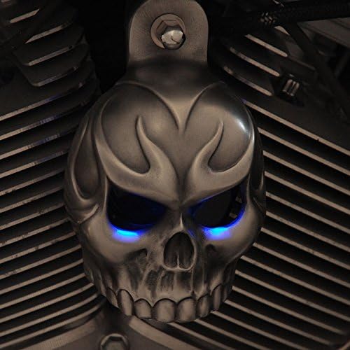 Evil Twin Skull Horn Cover in aged aluminum w/back lit LED eyes. (Orange)