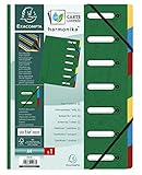 Hecha de material de cartón Exacompta 55073E - Carpeta archivadora de cartón con gomas (425 g, 7 secciones con ventanas, Din A4), color verde