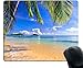 Gaming Mouse Pad Shore Palms Tropical Beach Oblong Shaped Mouse Mat Design Natural Eco Rubber Durable Computer Desk Stationery Accessories Mouse Pads For Gift Support Wired Wireless or Bluetooth Mouse