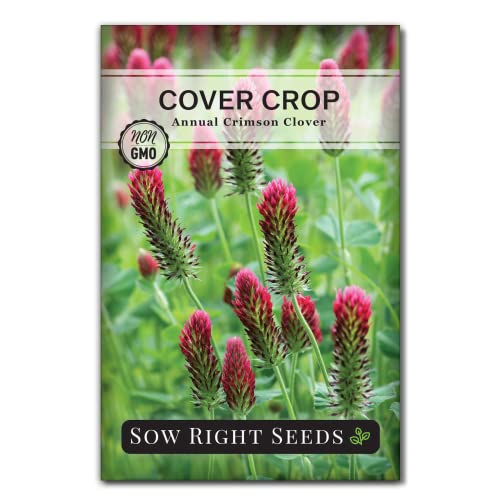 Sow Right Seeds - Crimson Clover Seed for Planting - Cover Crops to Plant in Your Home Garden...