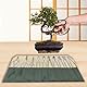 Lwuey Bonsai Werkzeugtasche, Rolltasche 76x34cm Bonsaiwerkzeug Aufbewahrungstasche PU Leder Garten Reparatur Knaufschneider Konkavschneider Drahtschneider Jin-Zange Bonsai-Schere Handwerkzeuge