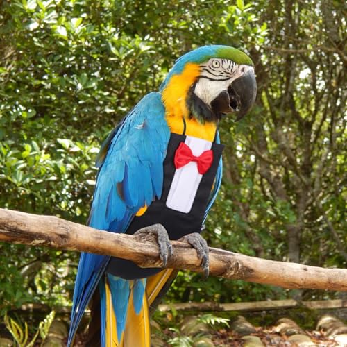ibasenice 2 Stück Vogel Windeln Mit Bowknot Design Waschbare Papageienwindel Fluganzug Weich Atmungsaktiv Für Wellensittich Nymphensittich Und Kleine Vögel Reise Alltag