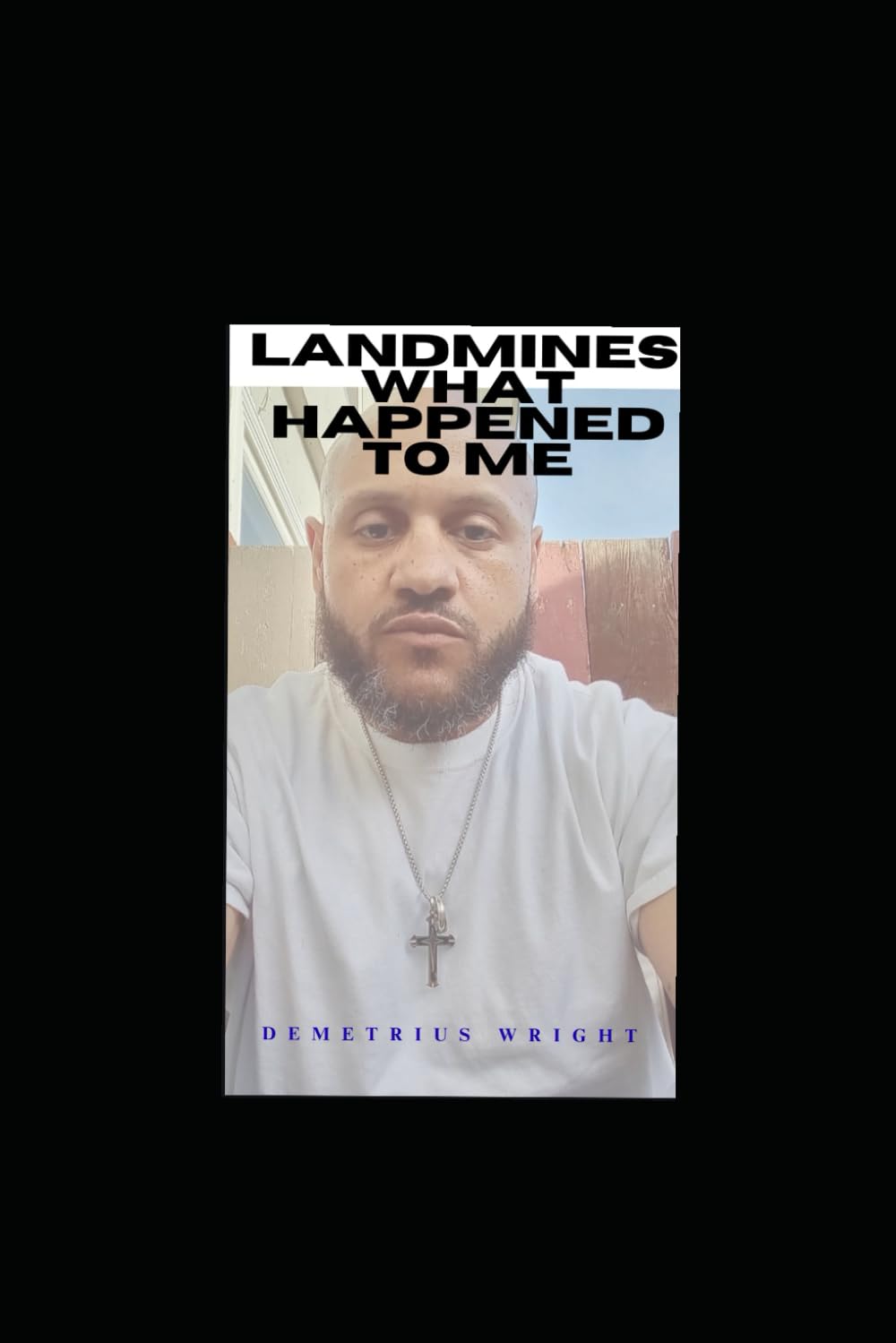 LANDMINES: What Happened to Me: Understanding Trauma, Accountability, and the Path to Healing (Just Meechy)
