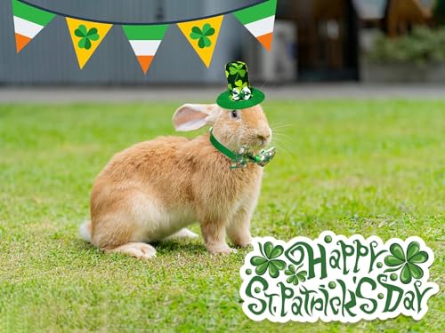 Disfraz de conejo para perro pequeño St. Patrick miniatura 7
