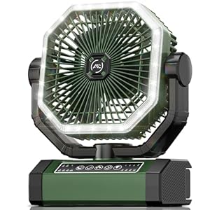 Portable Fan 24000mAh Battery Powered with Remote & LED, 4 Speed Strong Airflow, Desk/Camping/Outdoor/Gym Fan for Office Travel Treadmill Camping Gear
