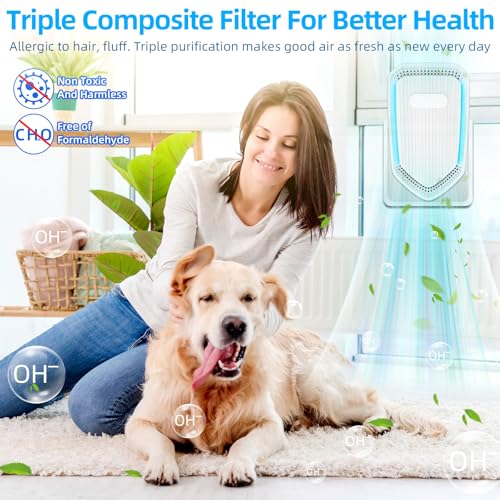 2026 Upgraded Air Ionizer Purifier 8-Pack