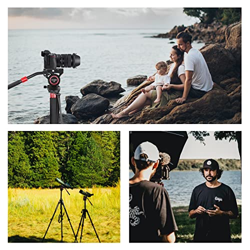 Video Fluid Head Mount,V6 Professional Camera Tripod Fluid Drag Pan Head With 1/4” And 3/8” Screws Sliding Plate For Dslr Cameras, Camcorders, Telescope, Max Load 17Lbs/8Kg #TOP6