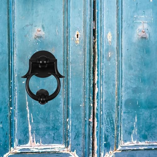 Aldaba de puerta de entrada PRETYZOOM elegante en aleación de zinc robusta 6