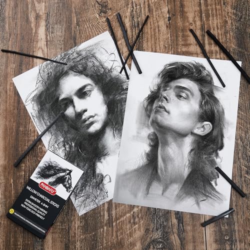 PANDAFLY Willow Charcoal Sticks, Soft, Black Artist Vine Charcoal for Artists, Beginners, Students, Great for Sketching, Drawing, Shading and Fine Art, 5-7mm, 25 Pack - Thumbnail 5