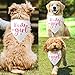 It's a Girl Gender Reveal Baby Announcement Dog Bandana White Dog Bandana Pregnancy Announcement Photo Prop Pet Scarf Accessories for Pet Dog Lovers Gifts