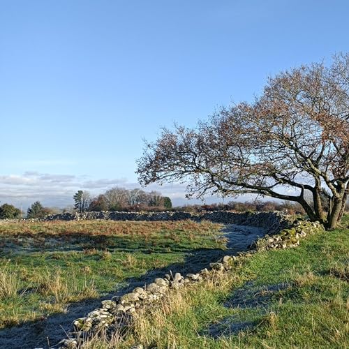 Rathgall Hillfort and the Ballycumber Raths