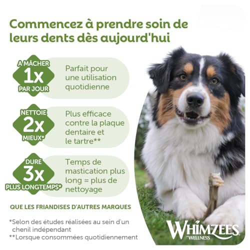 Indispensables Amazon Adorés par les Parents de Chien
