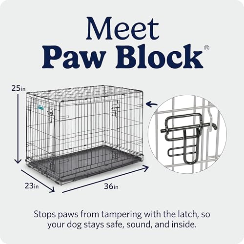 Image of MidWest Homes for Pets 36-Inch iCrate for Medium-Large Breeds, 41-70 lbs, Double Door Folding Dog Crate with Divider Panel, Leak-Proof Tray & Secure Latches, Portable, Durable & Easy to Assemble