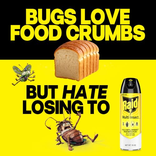 Image of Raid Multi Insect Killer, Kills Ants, Roaches, Spiders and Other Insects on Contact, For Indoor and Outdoor Use, 15oz