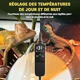 GlowUp lampe chauffante dôme E27 300 W avec thermostat PID photo 2