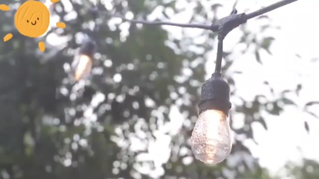 S14 LED String Lights - 12V Waterproof Outdoor Patio Garden Christmas Warm White Bulbs