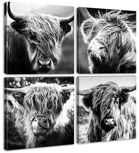 DJSYLIFE Highland Cow Wall Art Farmhouse Decor Canvas Printed Black and White Cow Pictures Wall Decor Modern Western Rustic Artwork Decorations for Bedroom Office Living Room 12