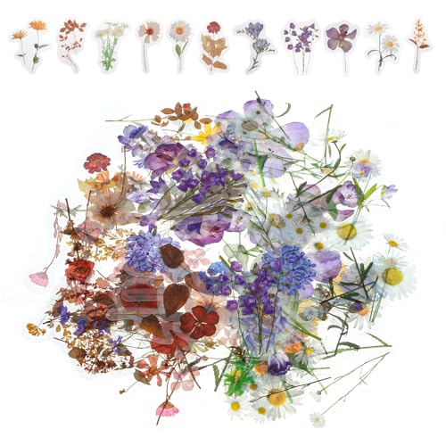 Lnngub 120 Stück Blumen Scrapbooking Aufkleber, Wasserfeste PET Blumenaufkleber Selbstklebende Bunte Flower Stickers Vintage Pflanzen Aufkleber für Scrapbooks, Fotoalben, Notizblöcke, Karten, Handwerk