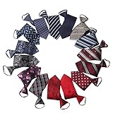 MEIANJU Mens Ties, 15PCS Mens Zipper Neckties for Men, Silky Zip Up Tie, Men's Pretied Ties Set