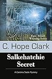 Salkehatchie Secret (The Carolina Slade Mysteries)