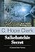 Salkehatchie Secret: A Carolina Slade Mystery