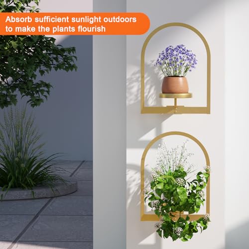Image of Flenpptly Wall Plant Holder, Wall Planter for Indoor Plants, Window Plant shelves for Multiple Plants Indoor Outdoor, Framed Plant Holder for Home Decor (2 Pack)