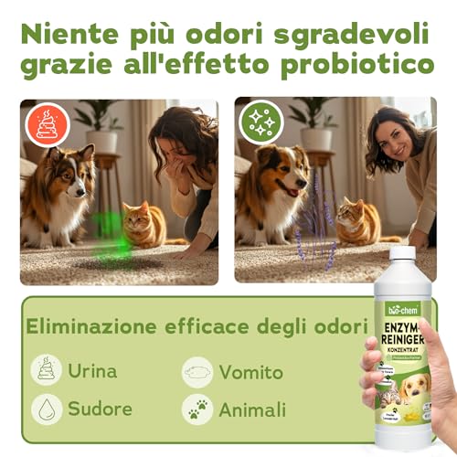 Bio-Chem - Detergente Enzimatico Concentrato 3L - Combatte Gli Odori Ostinati E Le Macchie - Azione Probiotica Naturale Per Tappeti, Tessuti E Superfici - 7