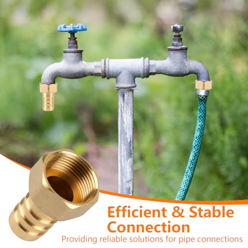 2 Stück 3/4 Zoll Schlauchanschluss,Messing Schlauchtülle 19mm Widerhaken 3/4 Zoll Innengewinde,Schlauchverschraubung mit Sechskant und 2 Gummidichtung,für Wasser Öl Gas Rohrverbindungen