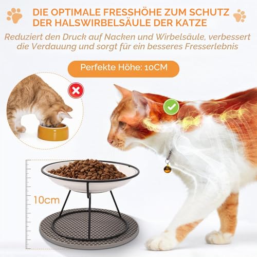 FoiiLiio Katzennapf Erhöht 2 Stück Katzennapf aus Keramik mit Napfunterlage