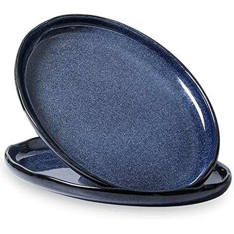 vicrays Serving Platter Ceramic Tray Plates Extra Large Oval 14.5 Inch Porcelain Dinner Plates Long Serving Dish Set Entertaining Party Restaurant Food Meat Sushi Fish Turkey Platter Cover