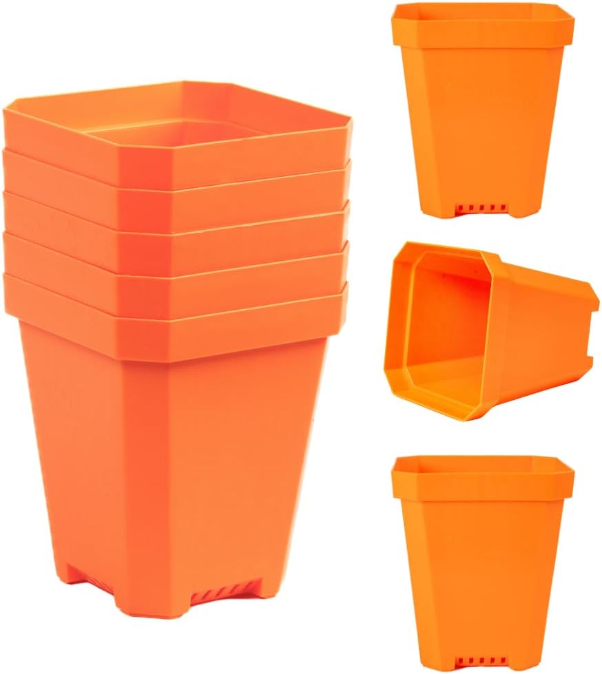 Bootstrap Farmer 8 pc Orange Heavy Duty Square 5 in Nursery Pots for Seed Starting Flowers Germination with Drainage Holes