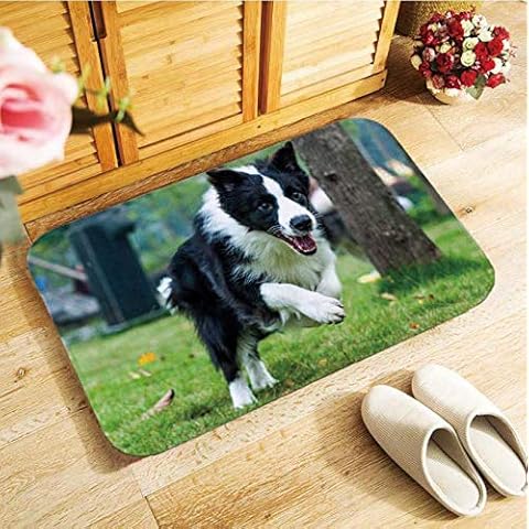Cute Border Collie Dog Doormat Coir Door Mat Indoor Outdoor Welcome Floor Mats Soft Material 40X60Cm Antislip Cover